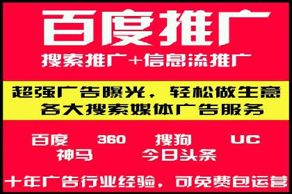 深入剖析SEM公司成功案例：数据驱动的广告策略